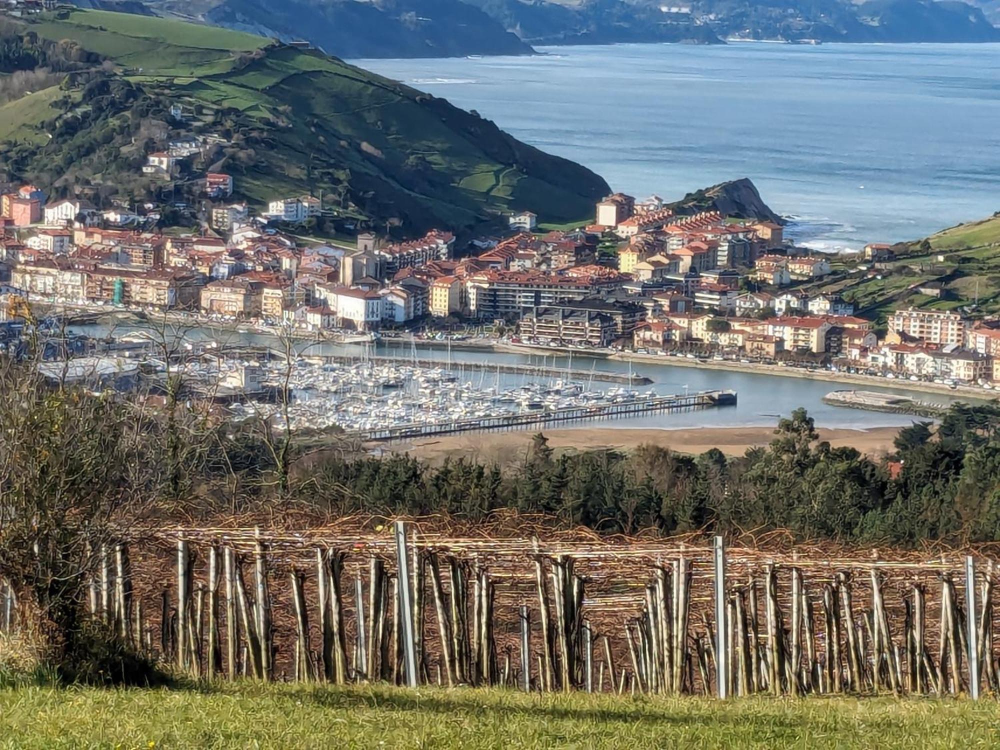 Apartament Basque Alai